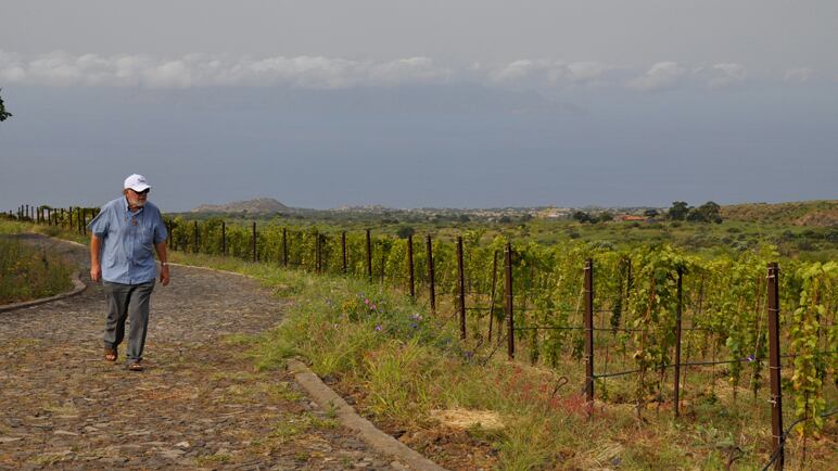 "Le mie bottiglie di vino aiutano a guarire"