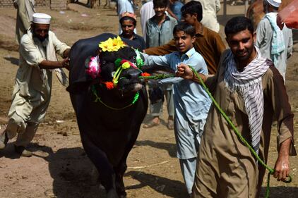 Afghanistan, i preparativi per l'Eid 4