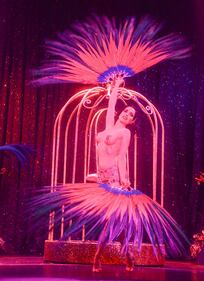 Dita Von Teese, burlesque che fa impazzire 7