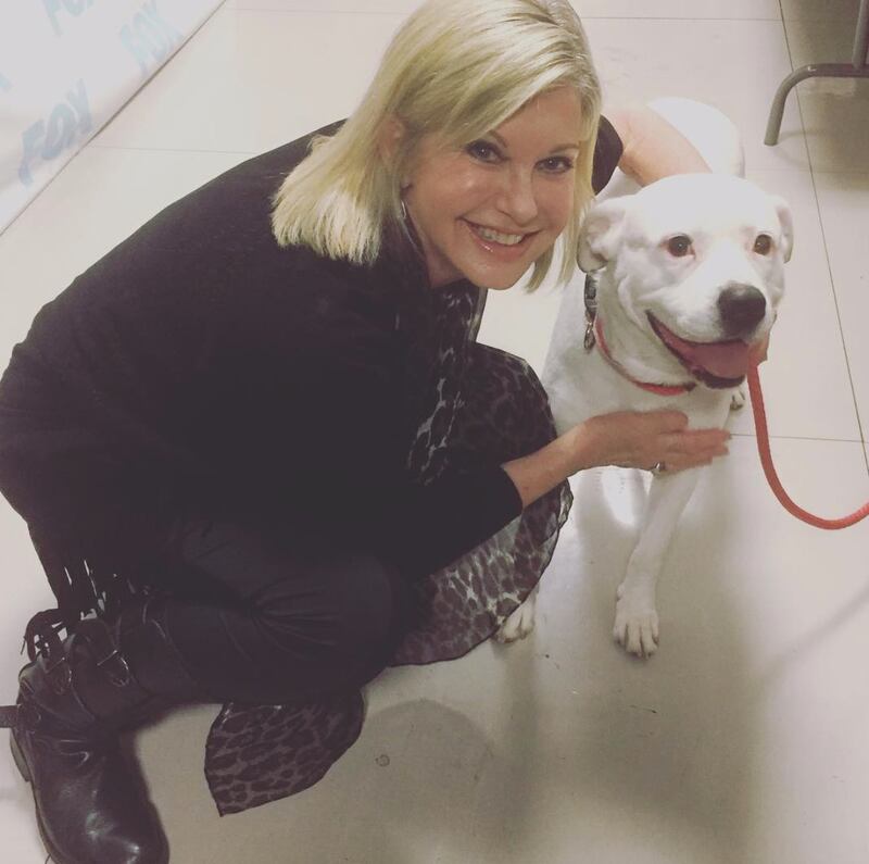 Olivia Newton John, le foto dell'attrice 1
