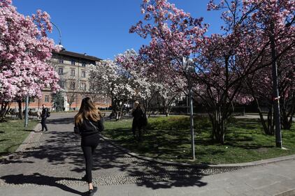 I giardini Renata Tibaldi in fiore a Milano  2