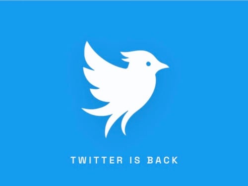 L’operazione Bluebird è già un flop: così è finito offline dopo poche ore il nuovo Twitter anti-Musk