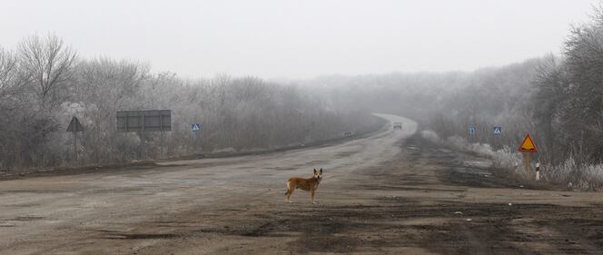 Militari schierati a Debaltseve 1