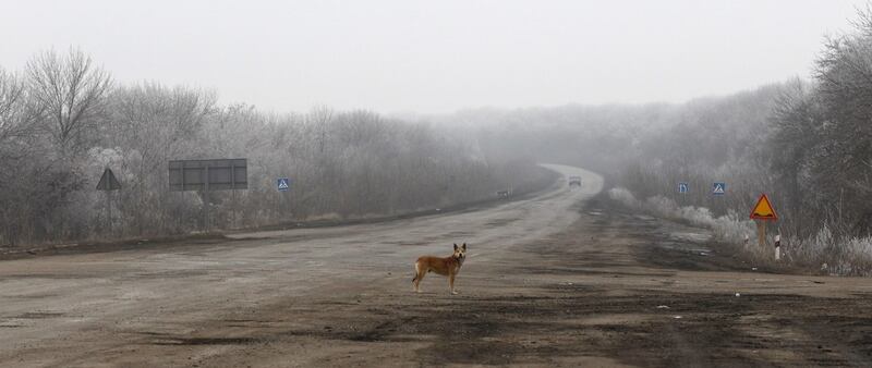 Militari schierati a Debaltseve 1