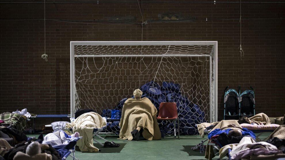 Tra gli "sportivi tellurici" che combattono in palestra