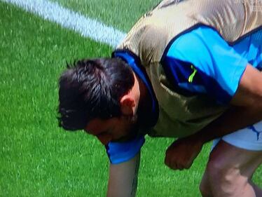 Italia-Svezia, Barzagli "salva" una coccinella 2
