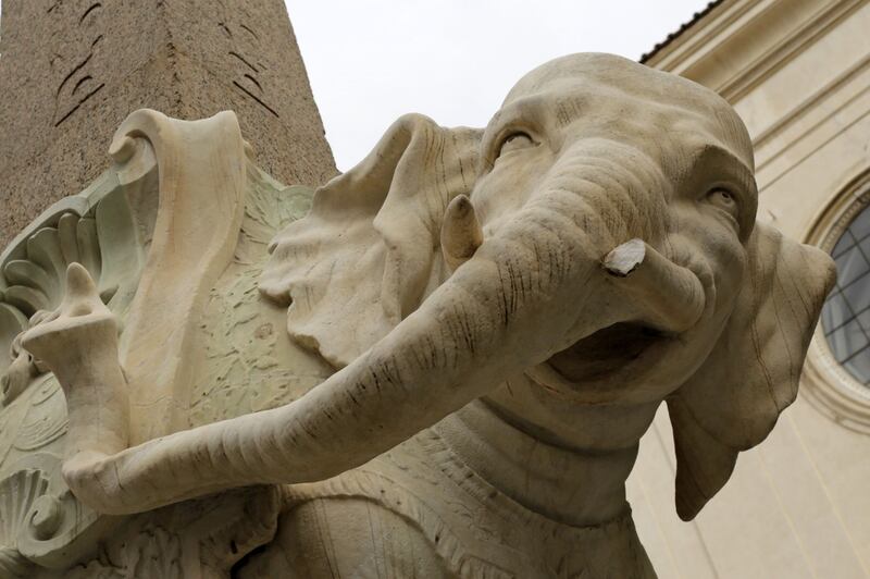 Roma, danneggiato l'Elefantino del Bernini 8