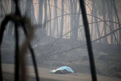 Incendio in Portogallo: 58 morti 7