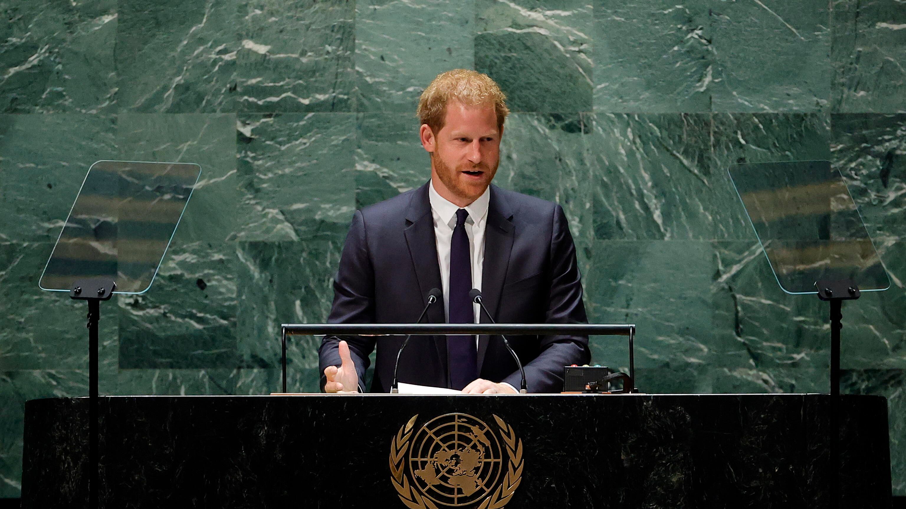 "Troppo insensibile verso la Regina": ora Harry vuole cancellare parti del libro