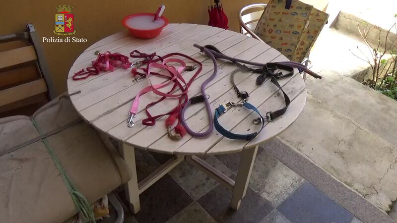 Segregava e teneva madre in casa al guonzaglio 5