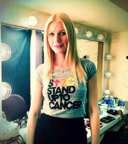 La vita da blogger di Gwyneth Paltrow 6
