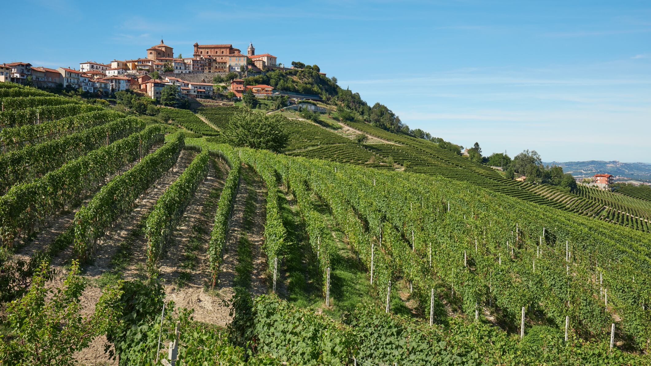 Gita enologica a La Morra patria di Barolo e brasato