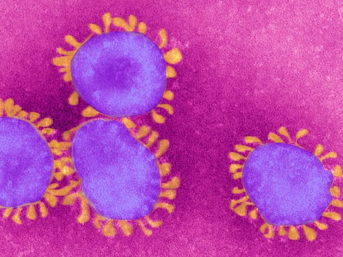 Ora si testa un nuovo farmaco: "Può sconfiggere il coronavirus"