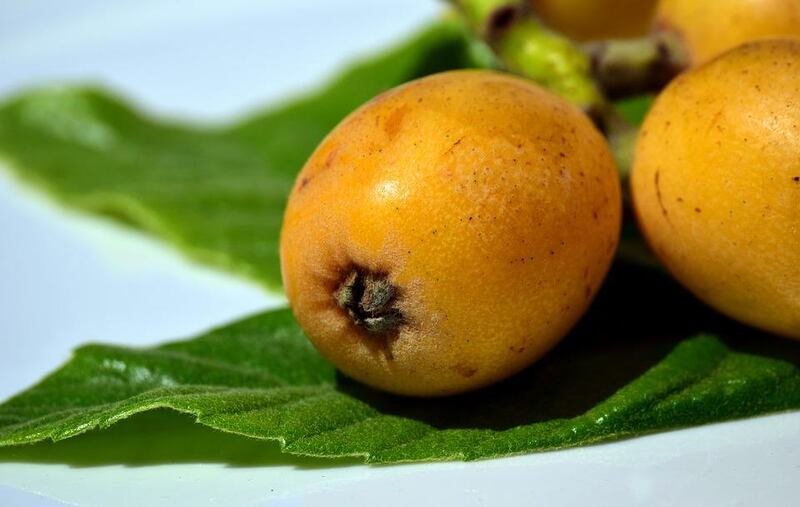 Nespole