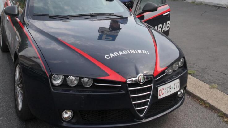 Carpi, albanese distrugge la sede dei servizi sociali: pestata un'impiegata