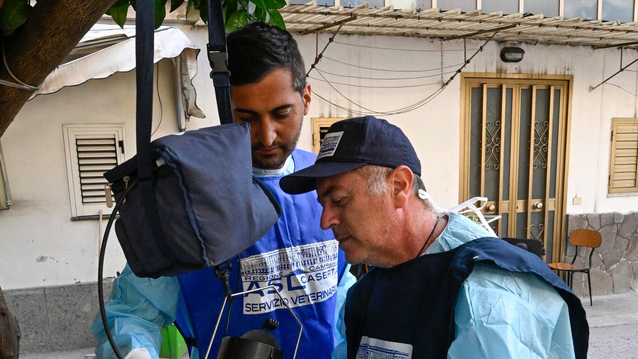 Allarme West Nile in Italia, come si trasmette: dalle zanzare Culex agli uccelli selvatici. Come proteggersi