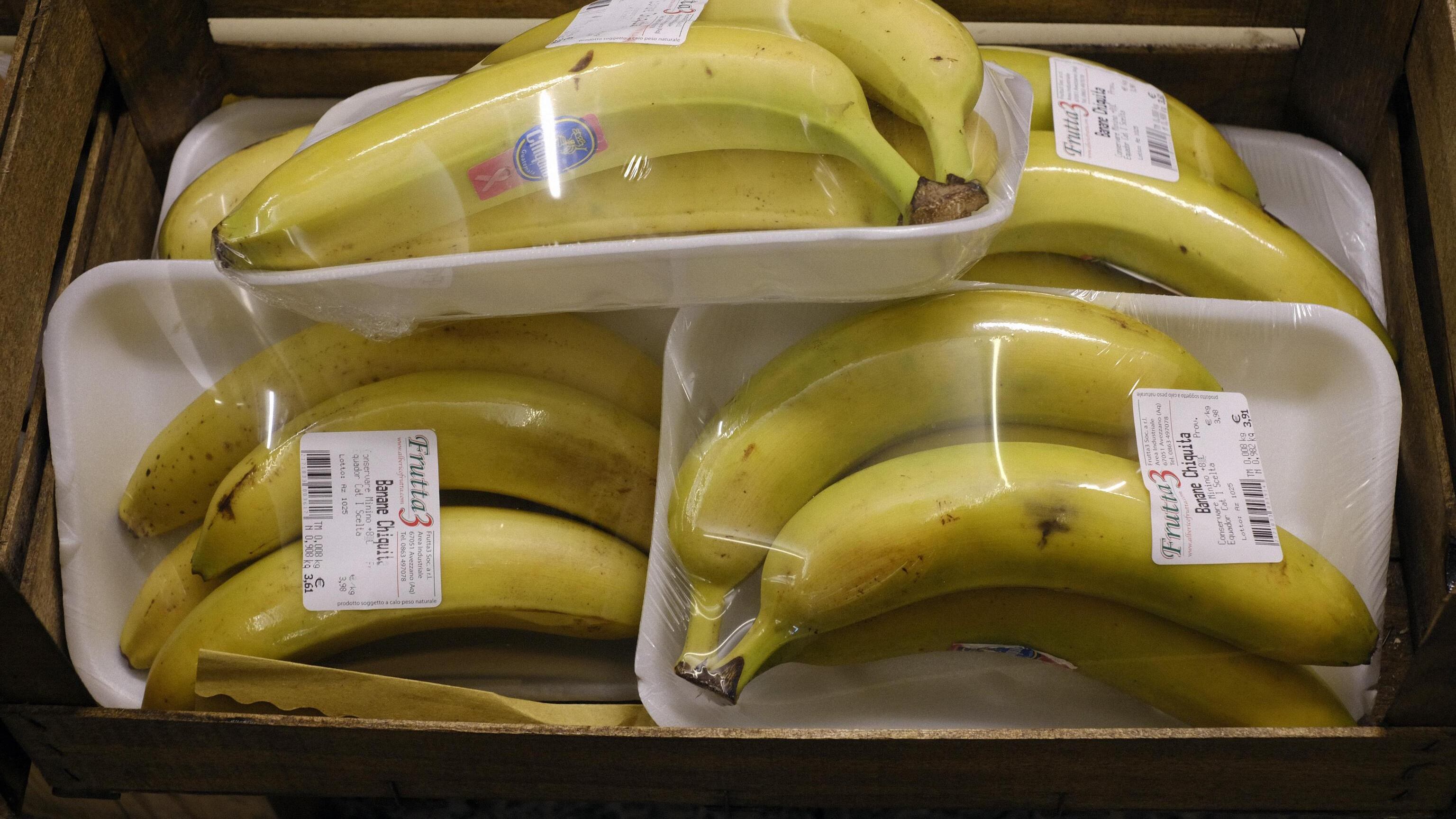 Dal 14 gennaio stop alla plastica monouso: multe da 25mila euro