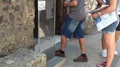 I veri custodi di Pompei? Sono dieci cani randagi