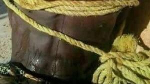 Le foto sbagliate che turbano il Papa