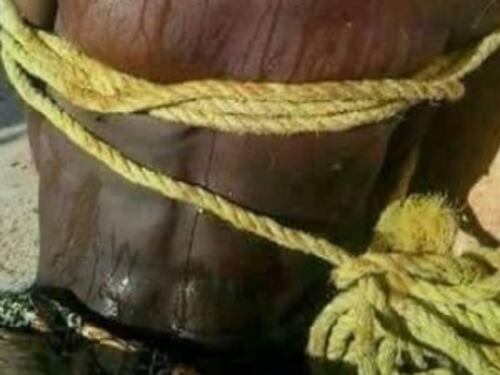 Le foto sbagliate che turbano il Papa