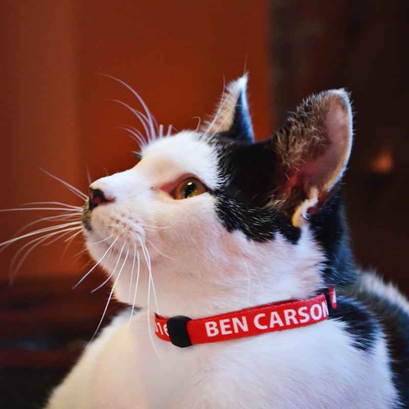I gadget di Ben Carson 12