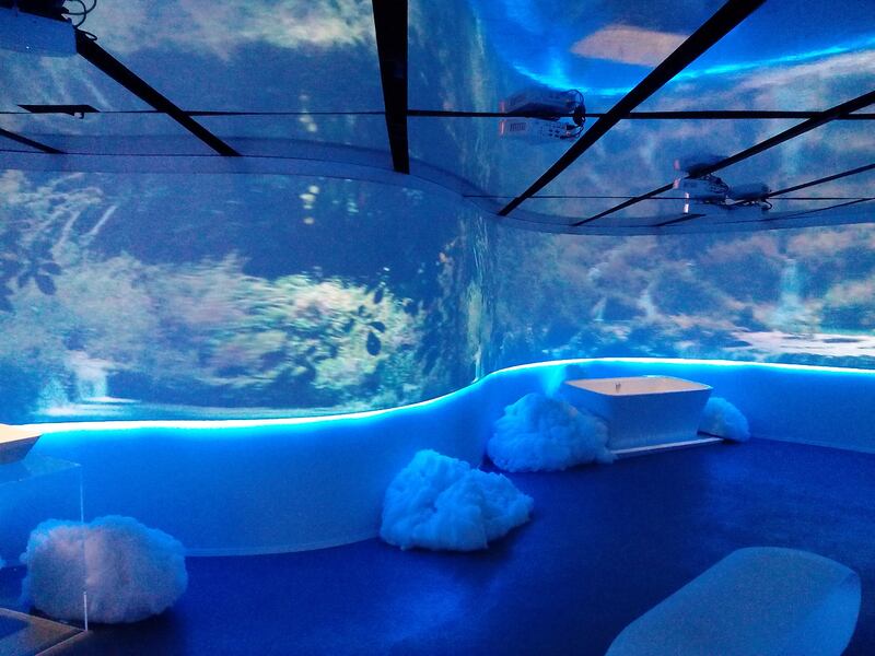Ecco il "Fuorisciacquone" 2016 9