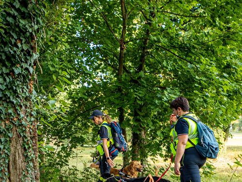 "Impiccato a un albero". Trovato il corpo di Giacomo Sartori