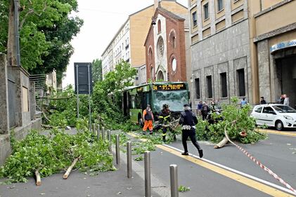 Milano, albero cade sull'autobus 2