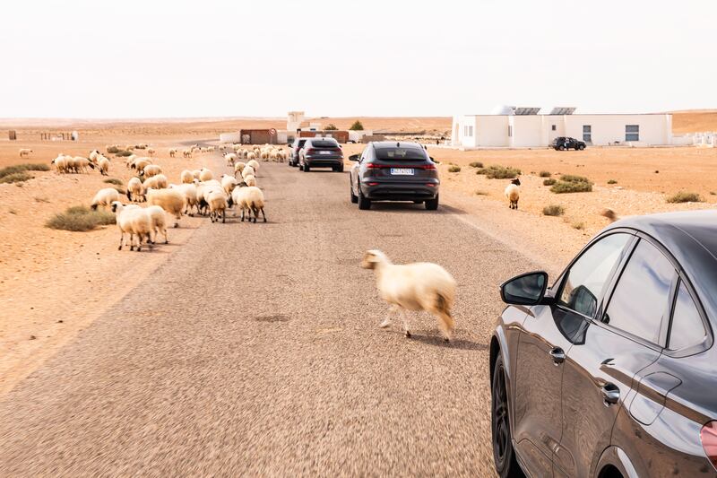 Audi SQ6 Sportback e-tron: il raid nel deserto del Sahara 12