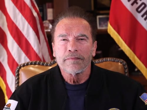 Schwarzenegger fermato in aeroporto: cosa non aveva dichiarato