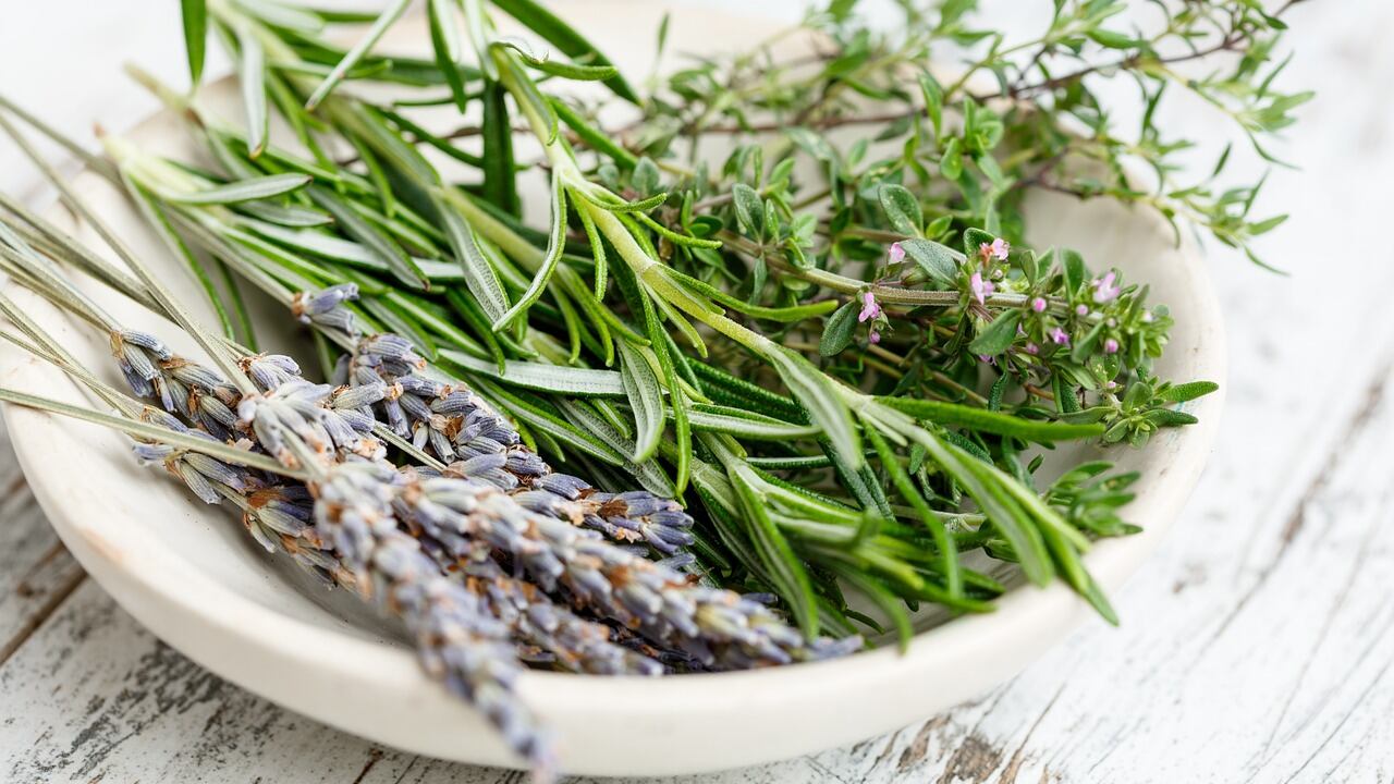 Olio di rosmarino: 9 benefici per la salute dei capelli (e non solo)