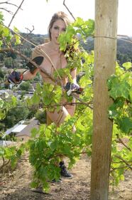 La coniglietta colpisce ancora: il giardinaggio è senza veli 9