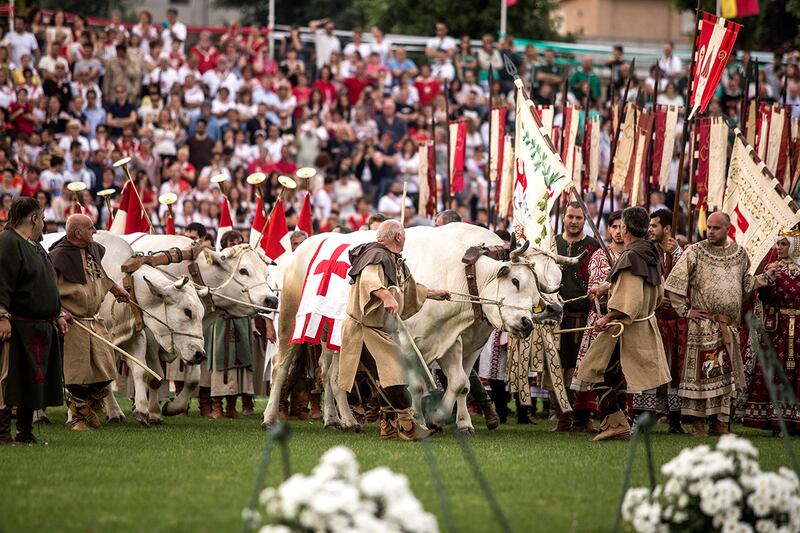I buoi bianchi trainano il carroccio