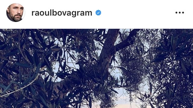 Raoul Bova fa acquisti in Puglia: compra una masseria con tanto di ulivi e piscina