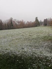 Nevica a Milano 8