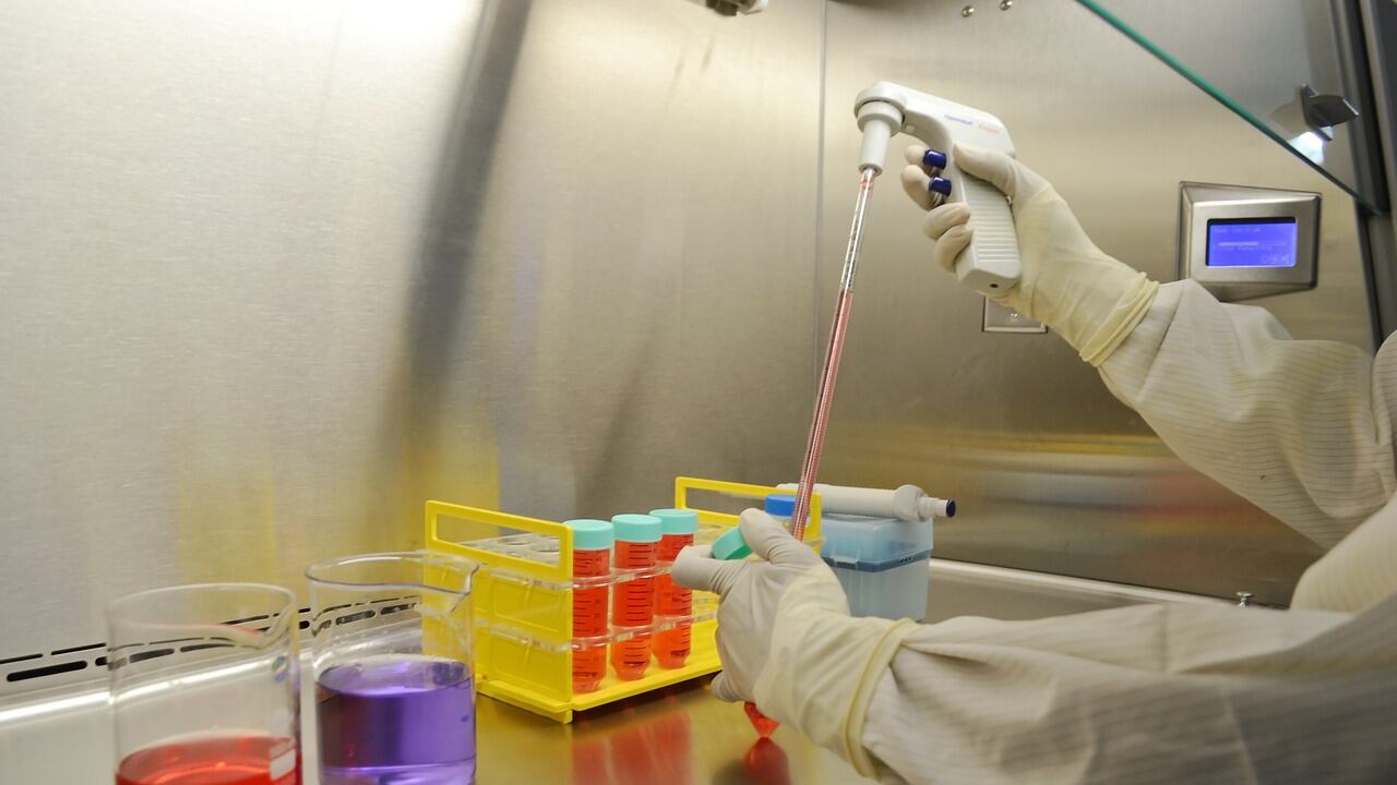 Sclerosi laterale amiotrofica, scoperto il ruolo di una nuova cellula