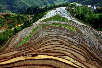 Lo spettacolo dei campi terrazzati in Cina 6