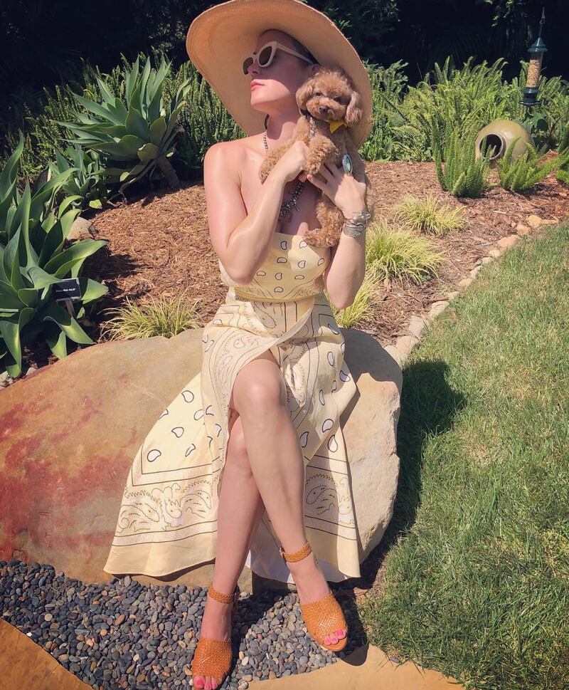Katy Perry, le foto della cantante 5