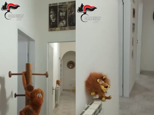 Scarpe firmate, peluche e palestra. In un video il covo di Messina Denaro