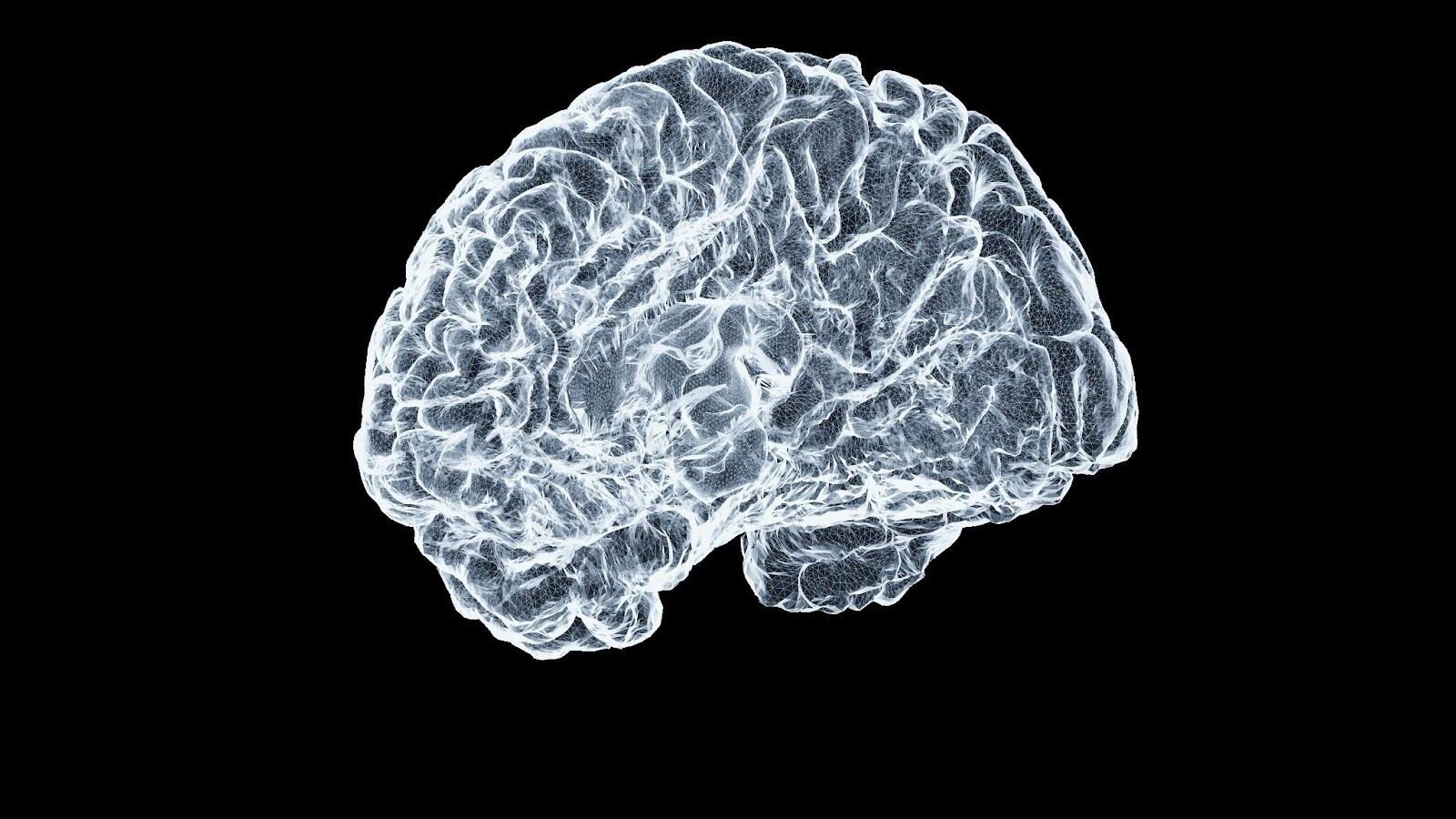 Morbo di Alzheimer, una nuova ricerca individua le placche dannose per il cervello