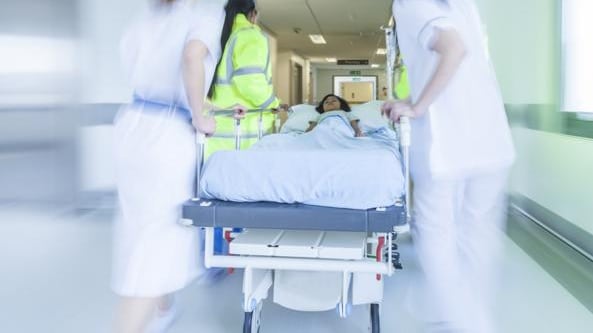 Genitori costringono figli a dieta vegana, bimba finisce in ospedale