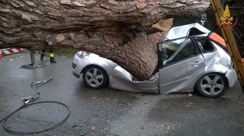 Maltempo a Roma, cade albero su auto 4
