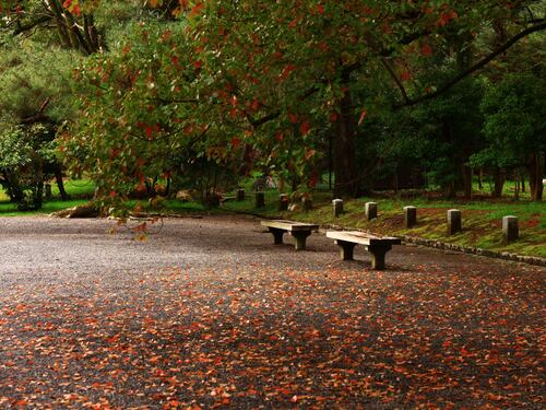 La passeggiata, poi il marocchino stupra la 16enne. Orrore in un parco di Guidonia
