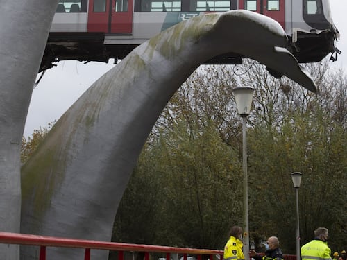 La statua di una balena salva una metro dal precipizio