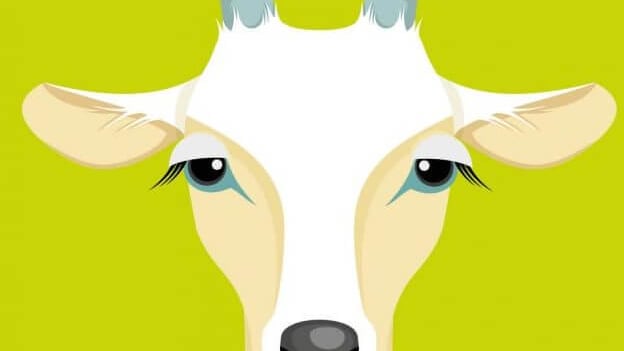 Sulle tracce di "Heidi" per scoprire la società di oggi