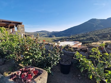 Mare, vigneti e tradizioni: il tesoro di Pantelleria 12