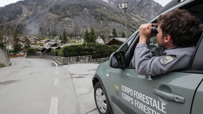 La Calabria batte il Canada: un forestale ogni 191 abitanti