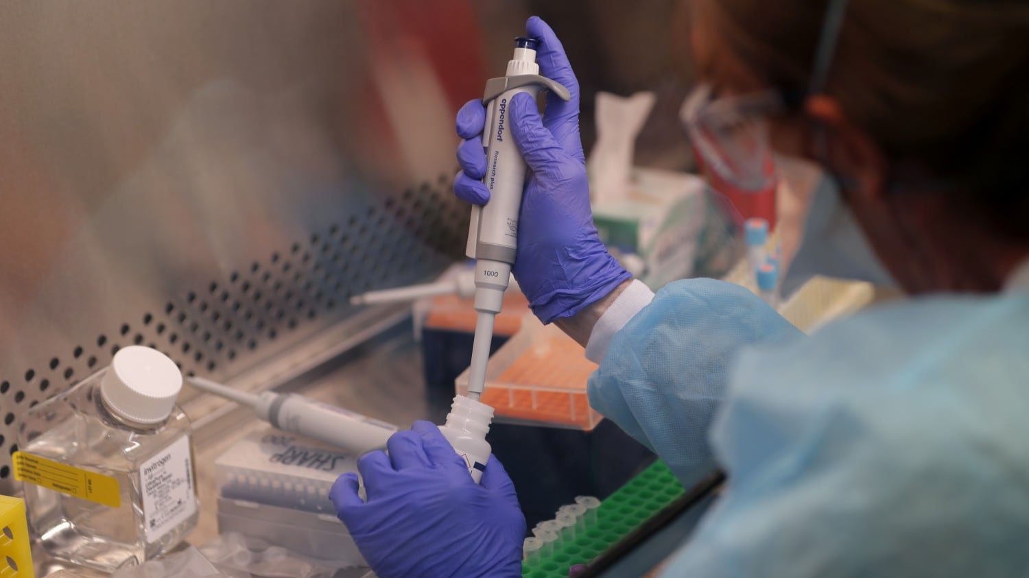 Arriverà un altro Coronavirus: ecco cosa può cambiare