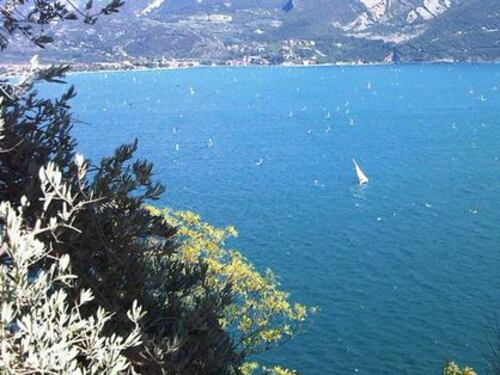 Trentino, vietati i bagni nel lago di Garda: "Acque troppo inquinate"