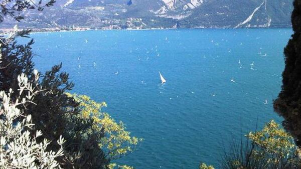 Trentino, vietati i bagni nel lago di Garda: "Acque troppo inquinate"